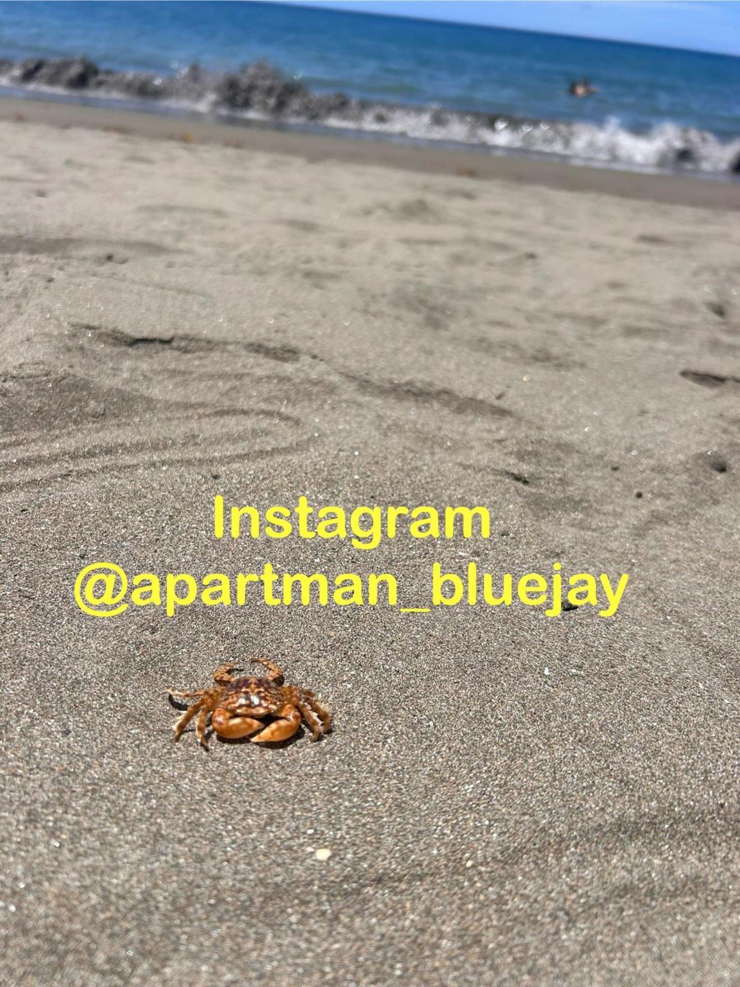 Bluejay Apartamento Playa Del Cura エクステリア 写真